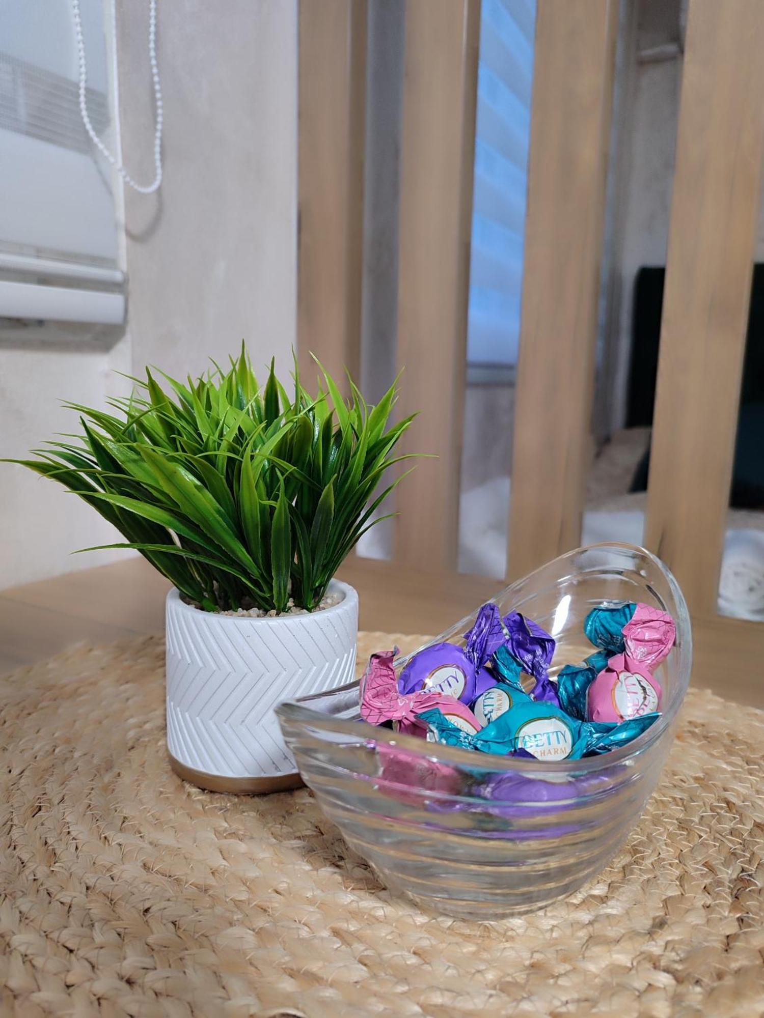 Studio Apartman Free Parking Rubikon Beograd Ruang foto